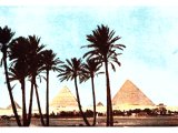 Pyramids at Gizeh seen through the feathery palms that fringe the Nile